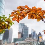 Продление Регистрации Товарного Знака Правовое Сопровождение для Правообладателей в Москве